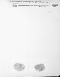 Image Associated With the Occurence
